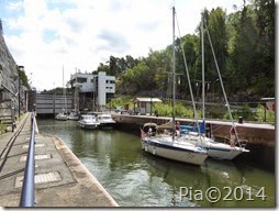 P1020592
