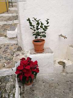 UNTAIN / Fonte da Rua da Costa, Castelo de Vide, Portugal