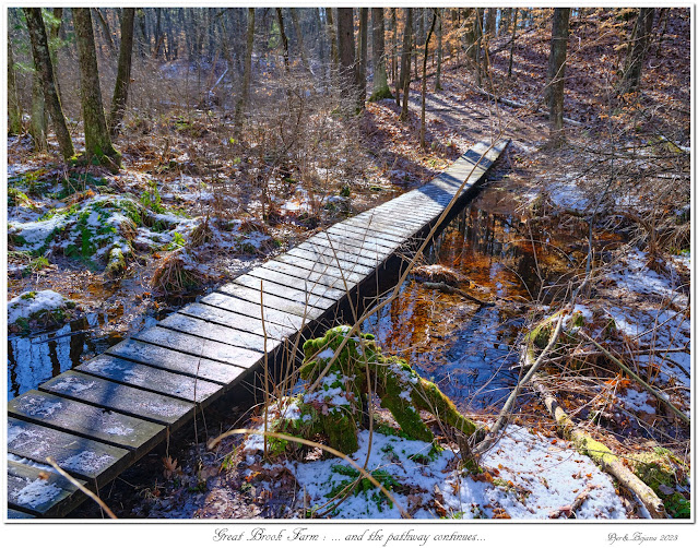 Great Brook Farm: ... and the pathway continues...