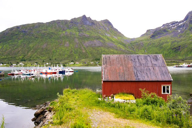 Mefjordvaer-Isola di Senja-Isole Lofoten