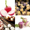8 Low-Carb Root Vegetables to Include in Your Diet Now  23 september in 2022