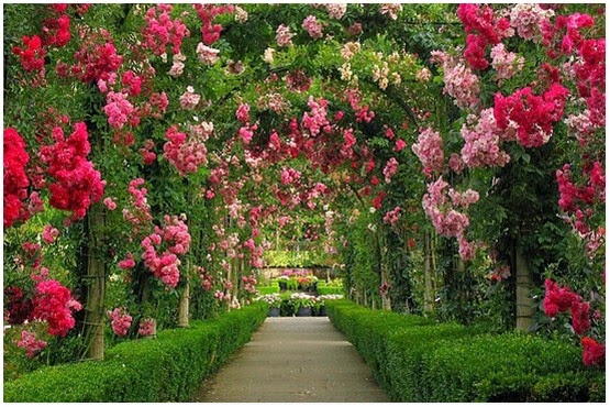 Taman Bunga Paling Cantik Di Dunia Butchart Gardens Taman Bunga Paling Cantik Di Dunia Butchart Gardens