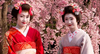 ▷ 7 datos curiosos que no sabías de la cultura japonesa