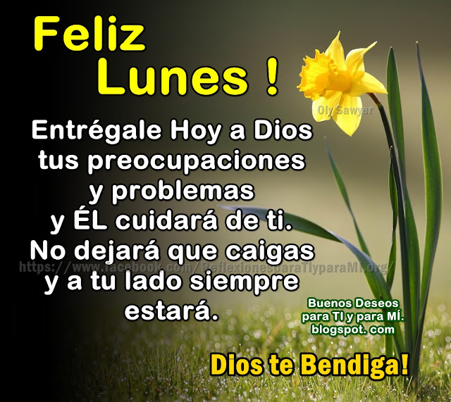 FELIZ LUNES ! Entrégale Hoy a Dios tus preocupaciones y problemas y Él cuidará de ti.  No dejará que caigas y a tu lado siempre estará. Dios te Bendiga !