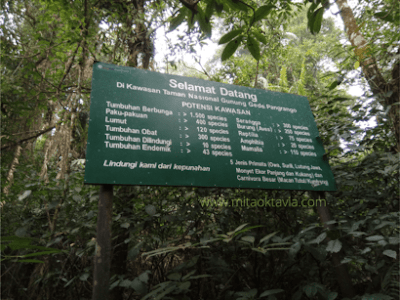 keberagaman spesies flora dan fauna yang ada di hutan Taman Nasional Gunung Gede Pangrango