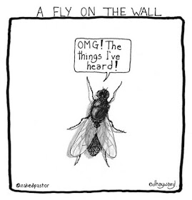 Image result for FLY on the wall