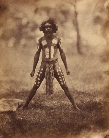 Aboriginal man ornamented for a corroboree