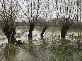 Chez Maximka, floods in the UK