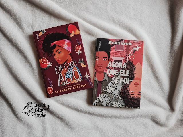 Bookhaul: chegou muito livro por aqui!