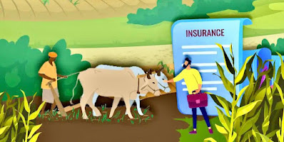 Crop Insurance in One Rupees : Pik Vima Yojana Detail Information in Marathi : पीक विमा योजना : एक रूपयात दिला पीक विमा !
