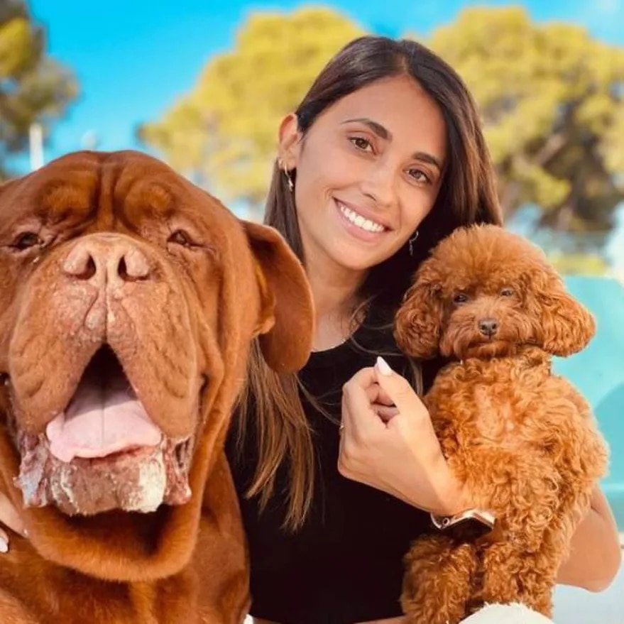 Antonela Roccuzzo mostró una foto con su perro Hulk y sorprendió: no para de crecer