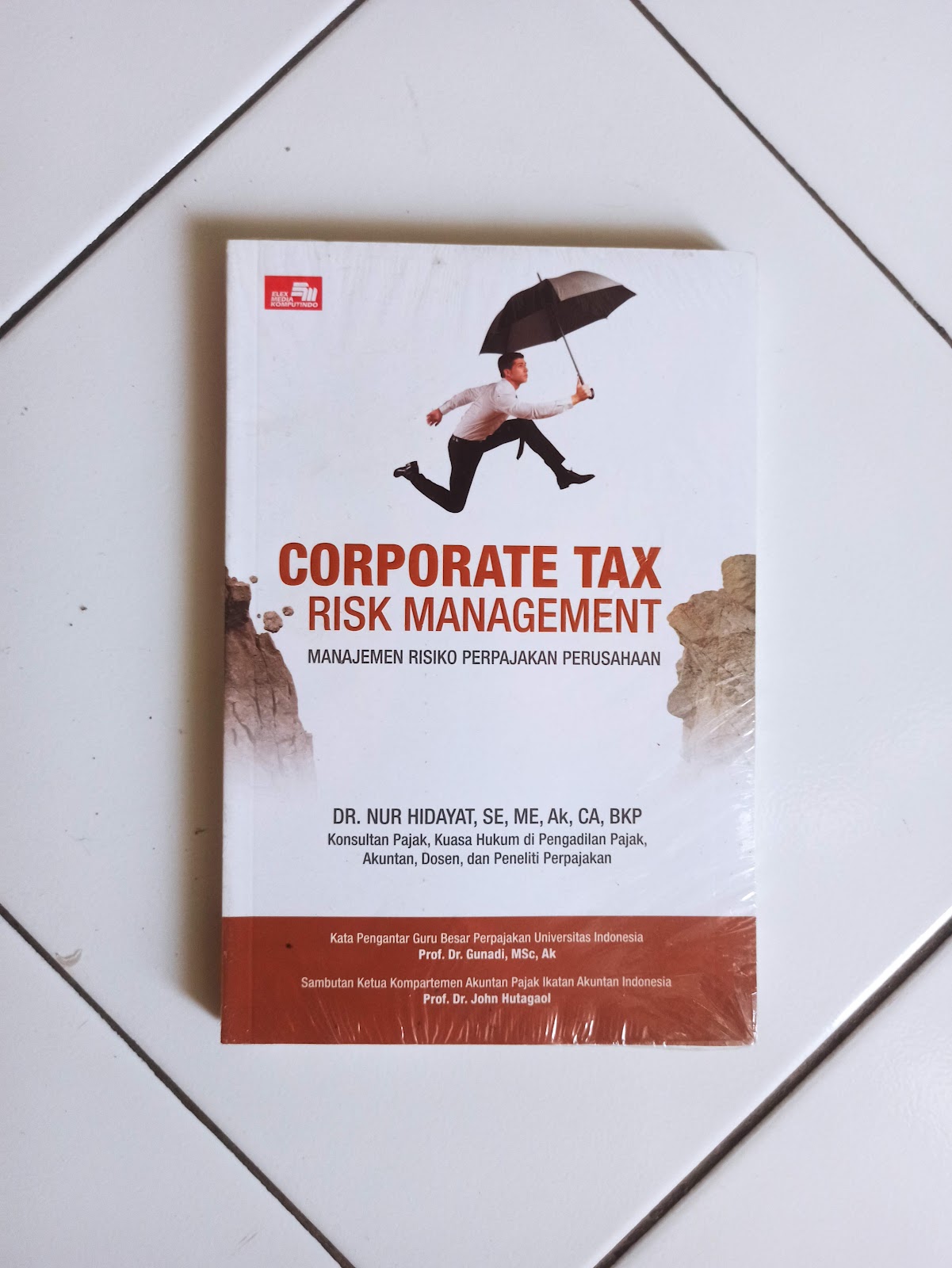 Corporate Tax Risk Management