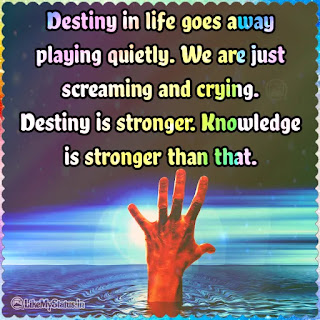 Destiny quote