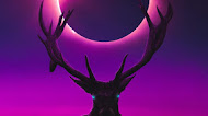 Deer digital art mobile wallpaper