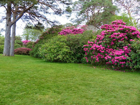 visite parc national de Killarney Irlande