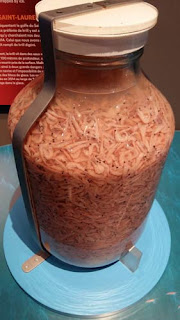 Costco Sized Jar Of Krill.