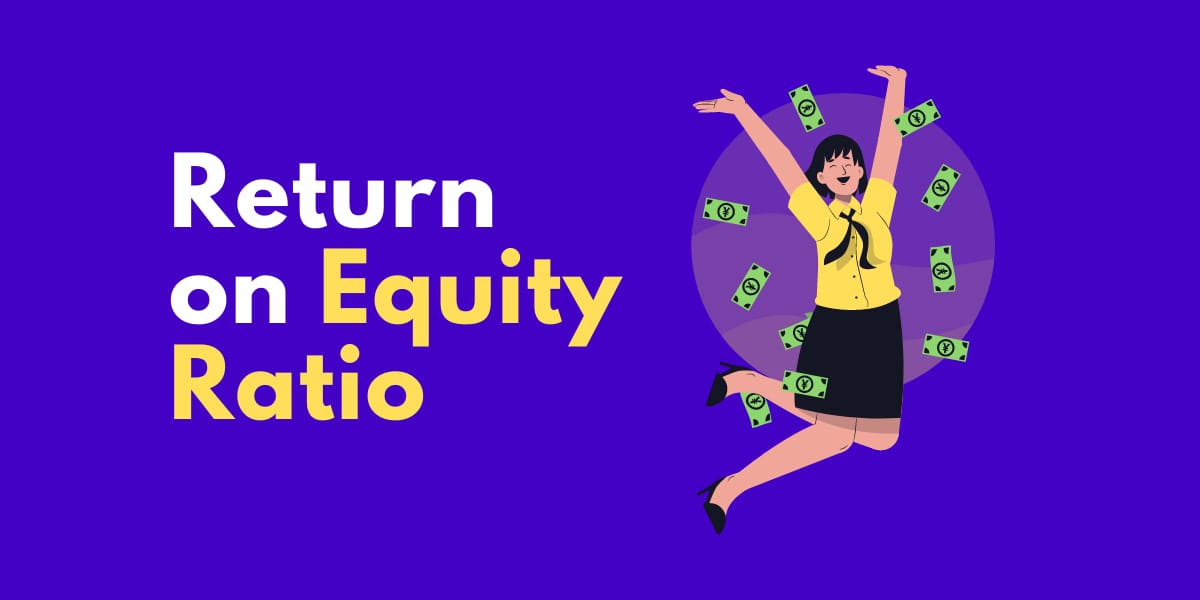 Return on Equity Ratio by ZeroBizz