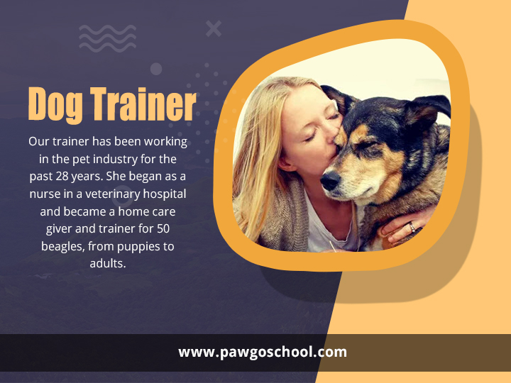 Dog Trainer in Singapore
