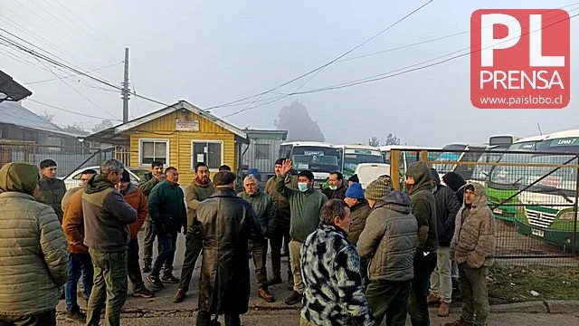 Osorno: Línea 7 de microbuses sin servicio por paro sorpresivo de conductores