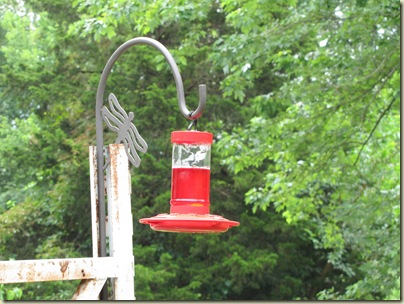 Birdfeeder07-05-10b