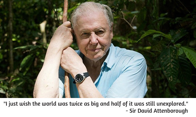 David Attenborough quote