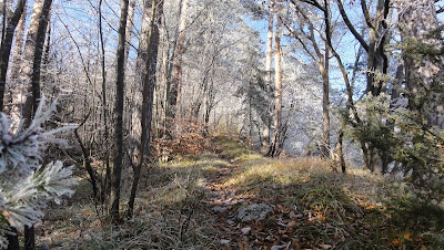 Auf dem Weg nach Welschenrohr