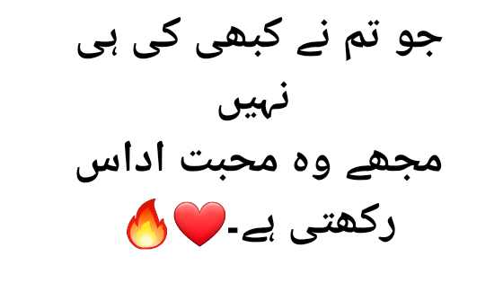 Best Urdu Poetry Captions For Instagram 2020