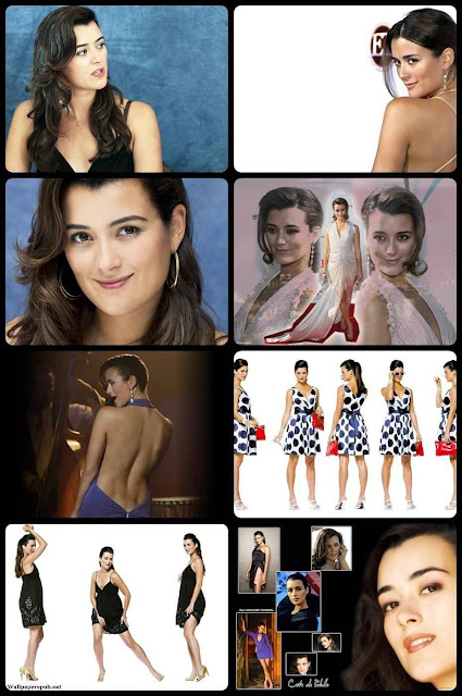 69 Cote de Pablo Wallpapers Zip 