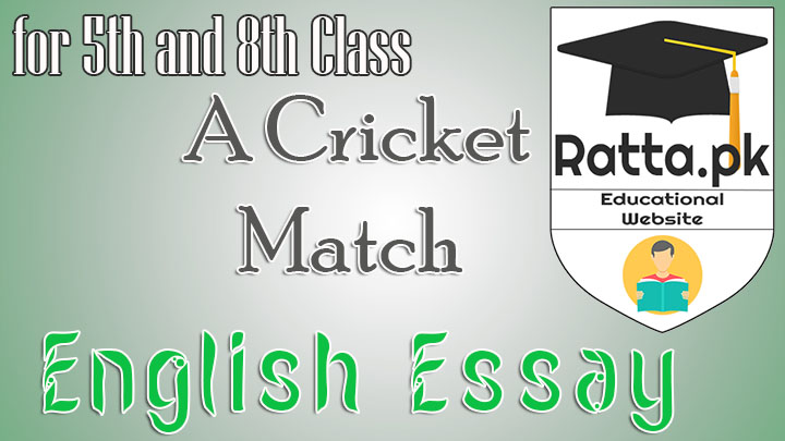 A Cricket Match English Essay for 5th and 8th Class