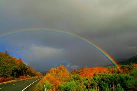 Rainbow Hillside