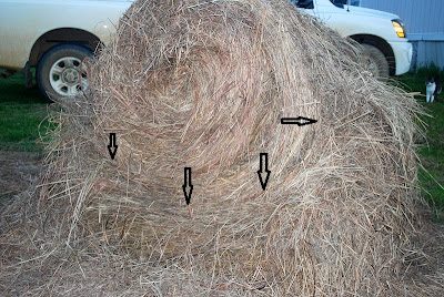 How to feed a round bale to reduce waste