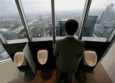 unusual toilets