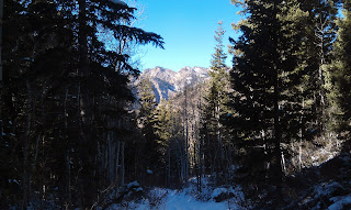 Mineral Fork Trail