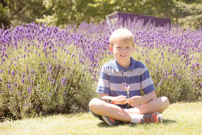 Shannon Hager Photography, Lavender Field Portraits