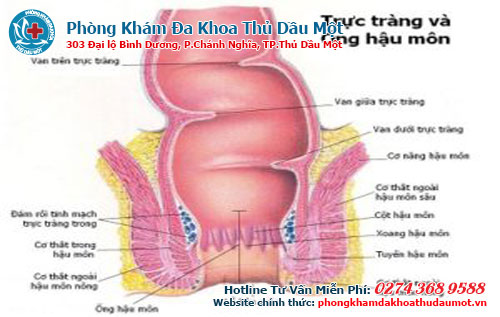 Top 8 nguyên nhân gây đau hậu môn khi ngồi