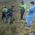 Cusco: Adolescente, pastor de ovejas, muere tras descarga de un rayo