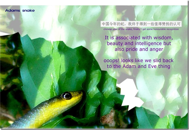 adams snake-007