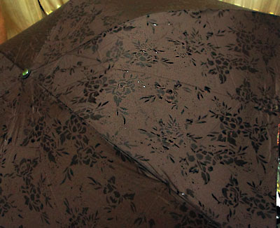 magic print umbrella