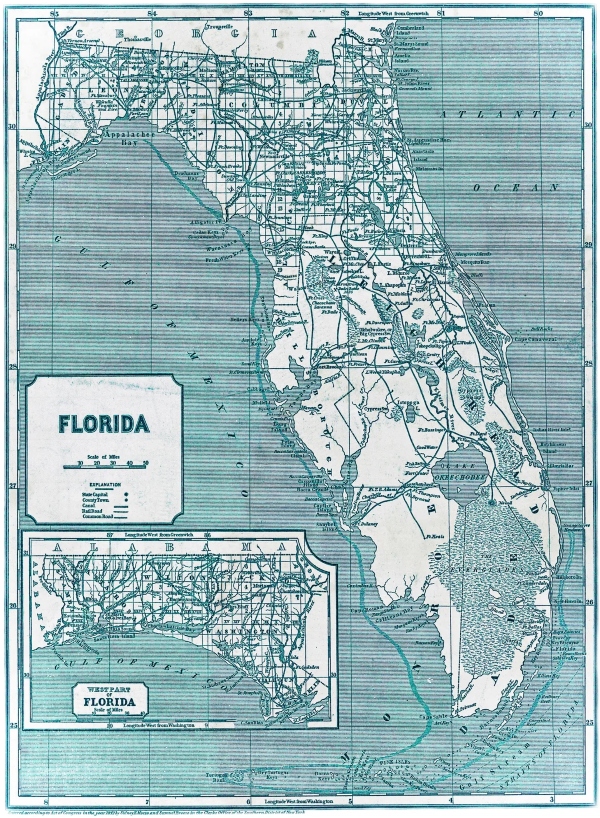 Florida State Maps Wall Art Decor Blue