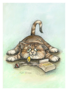 Cat Funny Picture