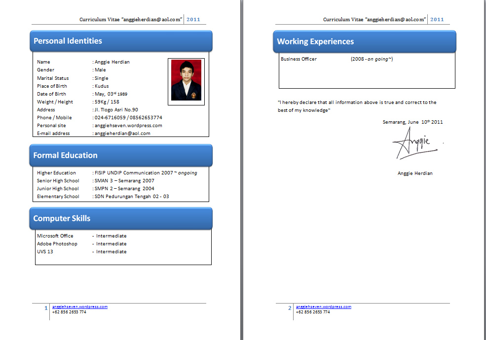 Contoh Curriculum Vitae Terbaru - ben jobs