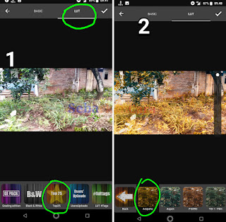 Tutorial Color Grading Video di Android (Merubah warna Tumbuhan)