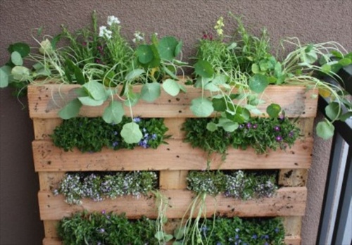 DIY Garden Ideas Pallets