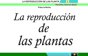 https://cplosangeles.educarex.es/web/quinto_curso/naturales_5/plantas_sexual_5/plantas_sexual_5.html