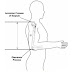 TES ANTHROPOMETRI