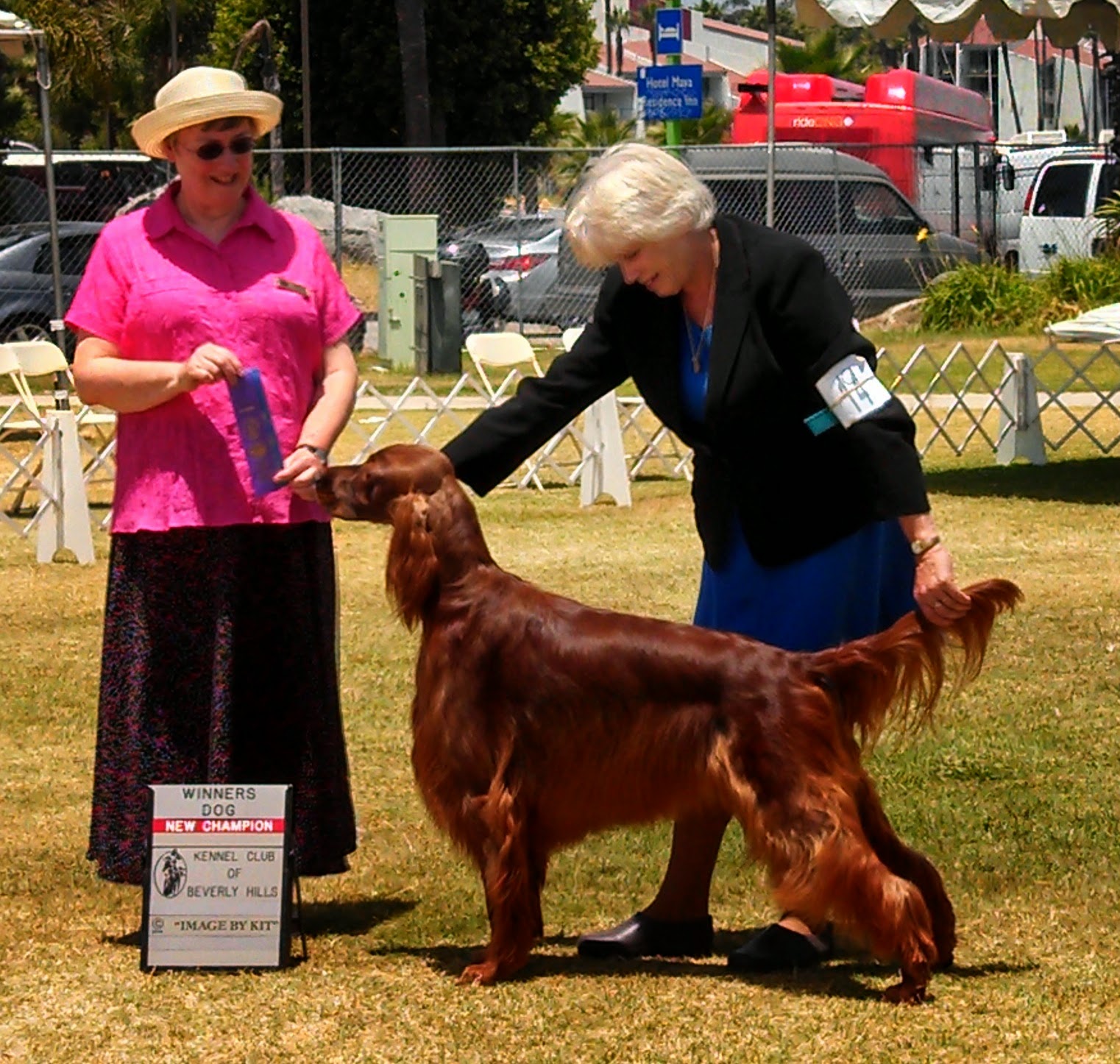 http://www.irishsetter.me