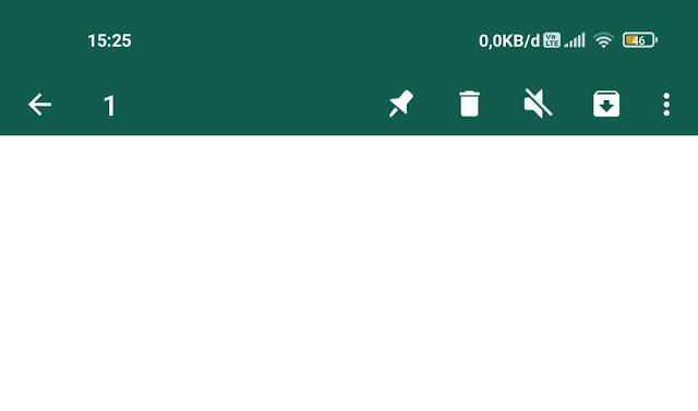 Cara Menyematkan Pesan di WhatsApp Supaya Berada di Paling Atas