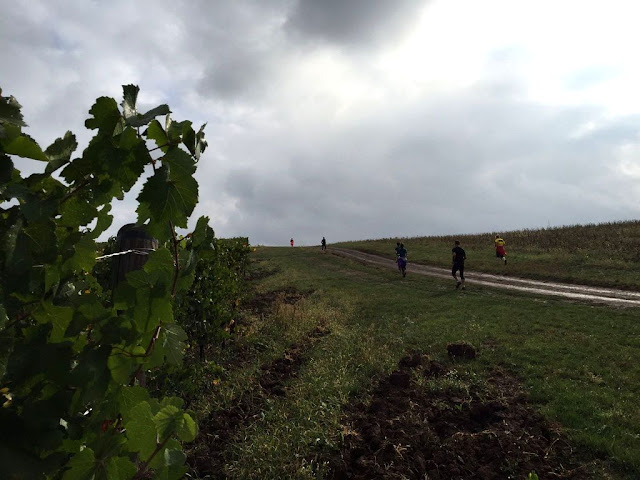 La Petrovaselo în Vie, invie alergarea prin natură. Trail Run Petrovaselo. 24 octombrie 2015. Florin Chindea Maseur Oficial al evenimentului