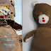 Ted the Teddy Bear Receives Repairs