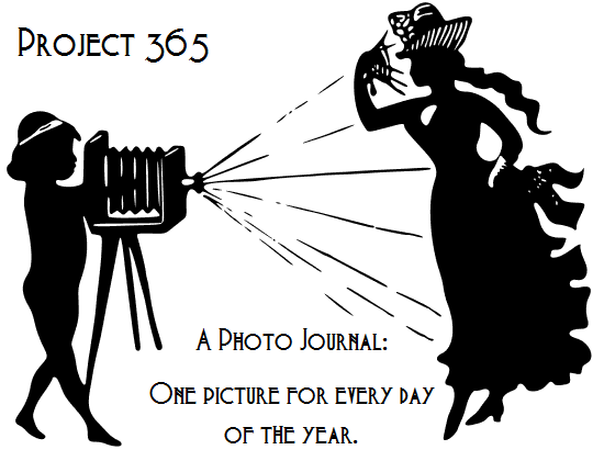 Project 365